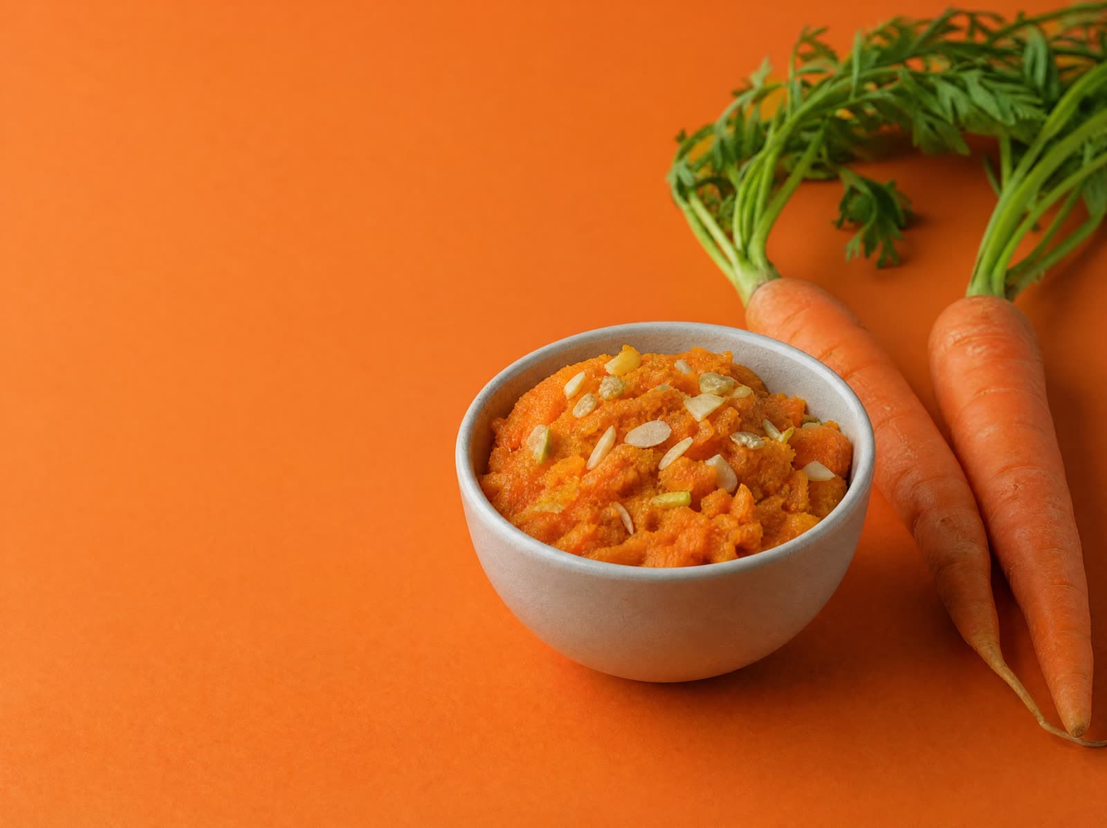 Carrot Powder stirred into a bowl of carrot halwa